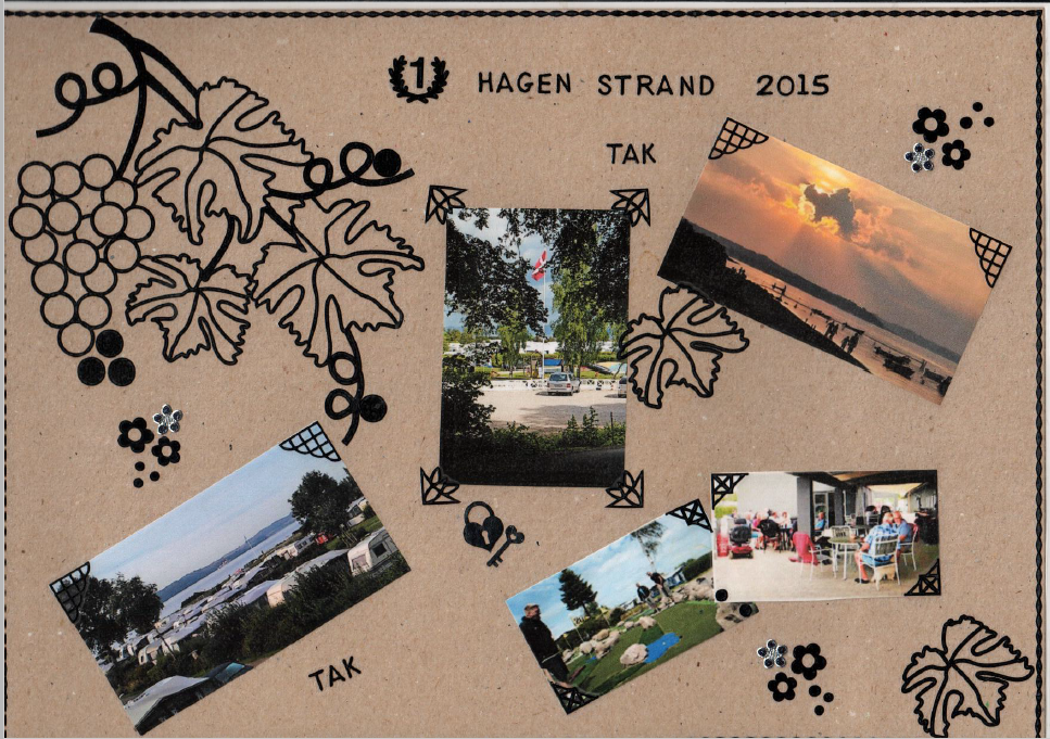 hagenstandcamping-glade-gaester2015-2